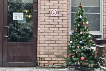 Эксперты и партнеры петербургской «Деловой России» украсили городские больницы к Новому году