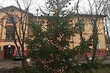Наталья Ребренцева приняла участие в благотворительной акции по обеспечению новогодними украшениями ФГБОУ ВО ПСПбГМУ им. И.П. Павлова Минздрава России